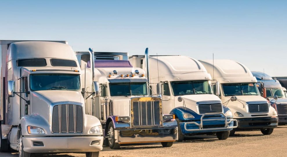 Five trucks parked next to each other — Whybirds Transport in Raceview, QLD